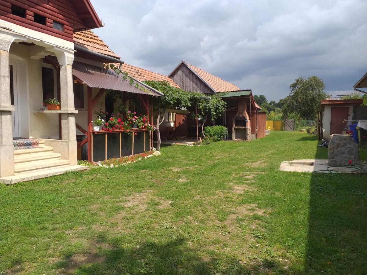 Вілла Casa Argentina Кирцишоара Екстер'єр фото